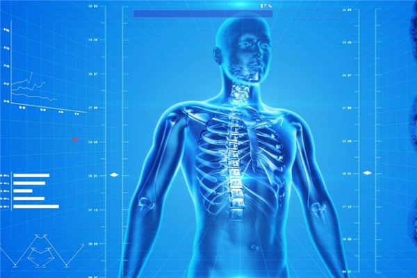 O significado de sonhar com medula óssea