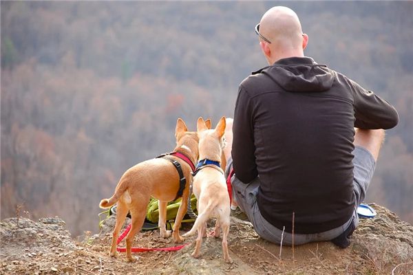 O significado do sonho de um homem careca