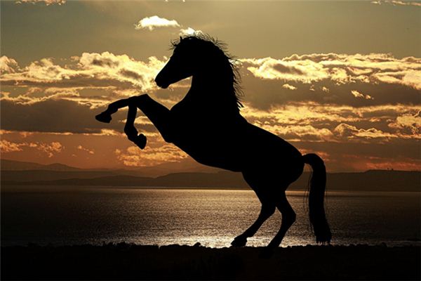 O que significa sonhar em montar um grande cavalo preto