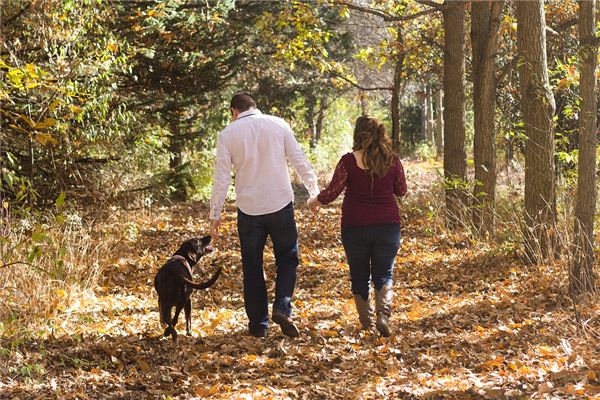 O que significa sonhar que leva um cachorro para passear?