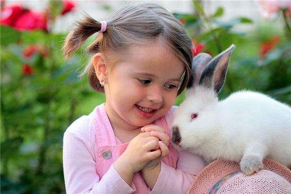 O que significa sonhar que traz um coelho para o seu lado?