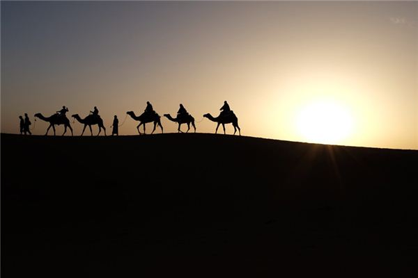 O que significa sonhar com andar de camelo