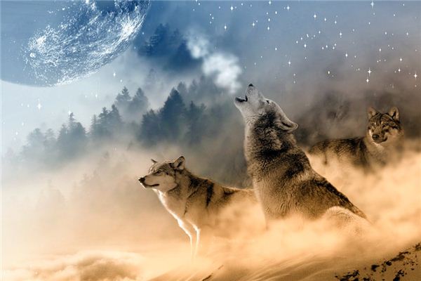 O que significa sonhar com uma matilha de lobos