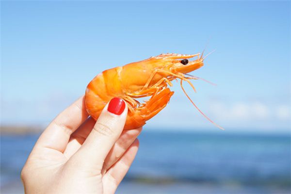 O que significa sonhar com camarão