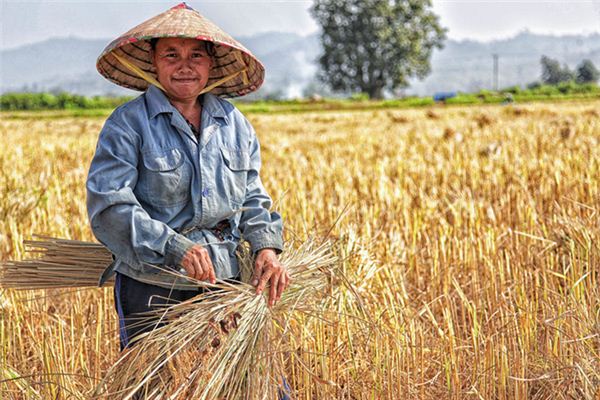 O que significa sonhar com frutificação