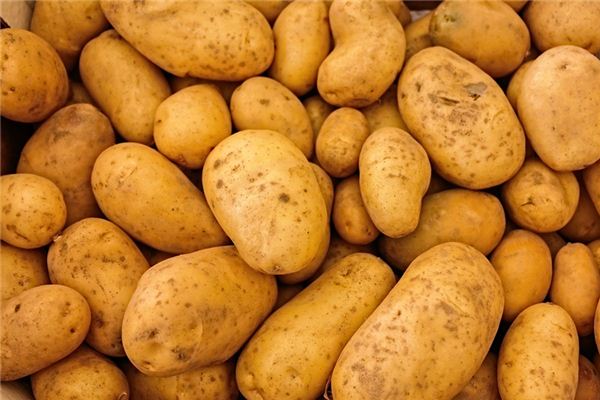 O que você quer dizer com sonhar com batatas?