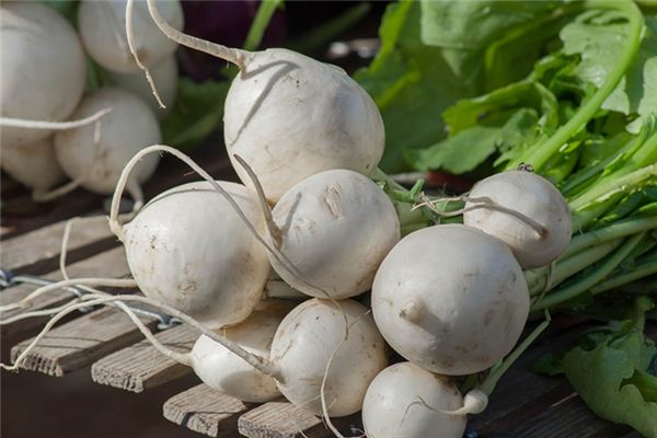 Sonhando com o significado de rabanete branco