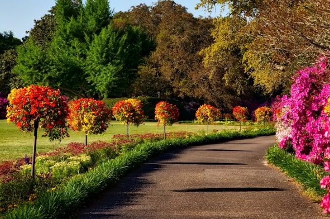 Sonhar com um Jardim