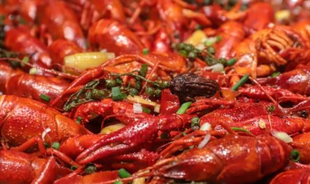 45 Significados Espirituais de Sonhar com camarão