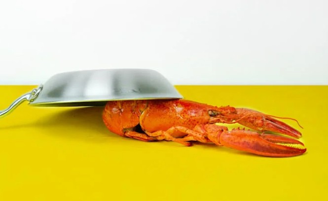 31 Significados Espirituais de Sonhar com lagostas