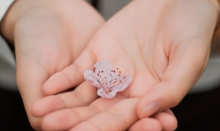 50 Significados Espirituais de Sonhar em lavar as mãos