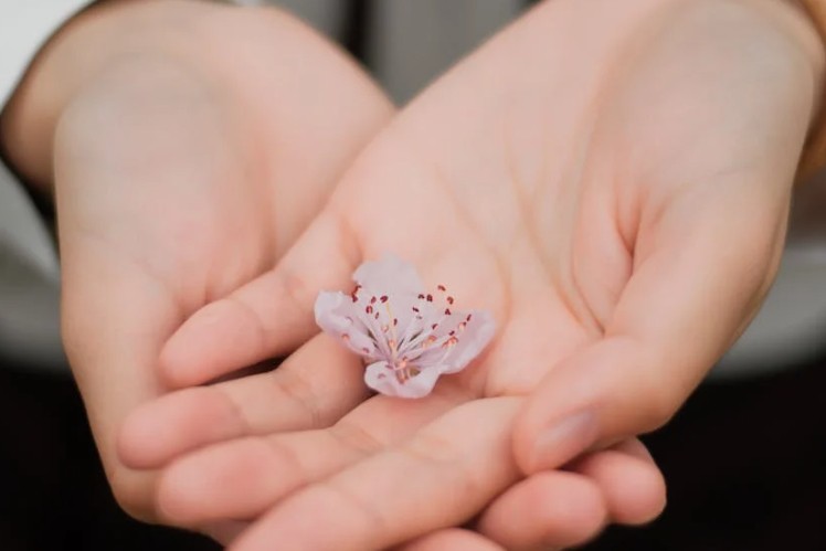 50 Significados Espirituais de Sonhar em lavar as mãos