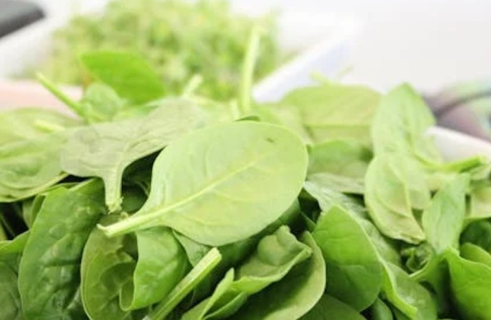 45 significados simbólicos de sonhar com espinafres