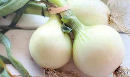 44 significados simbólicos de sonhar com cebolas