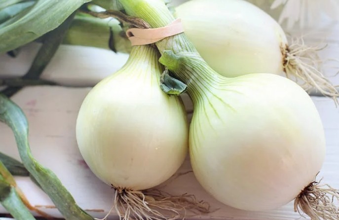 44 significados simbólicos de sonhar com cebolas