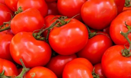 49 significados simbólicos de sonhar com tomates