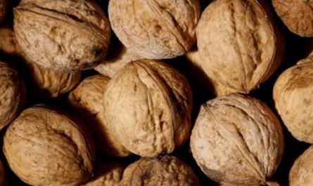 40 significados simbólicos de sonhar com nozes