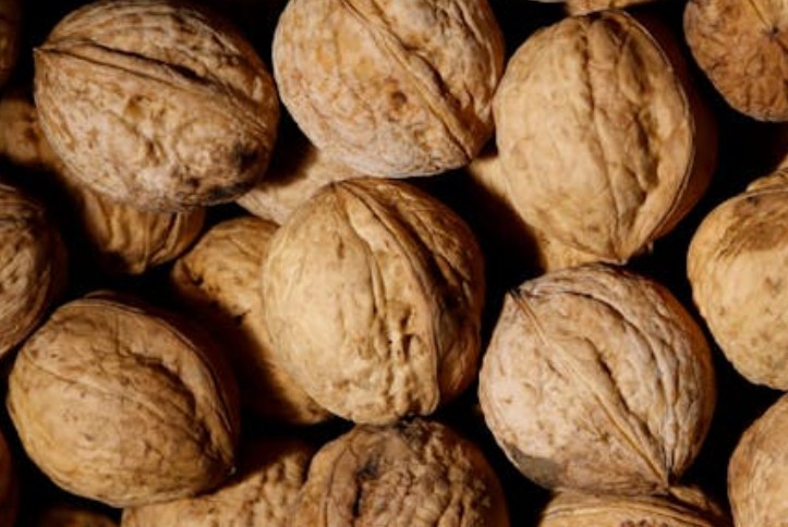 40 significados simbólicos de sonhar com nozes