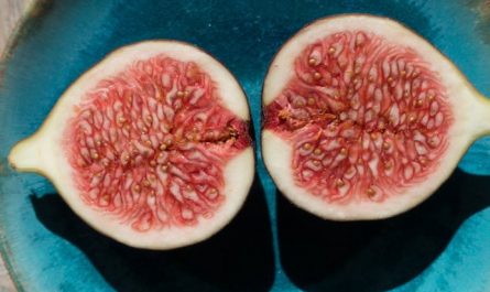 48 significados simbólicos de sonhar com figos