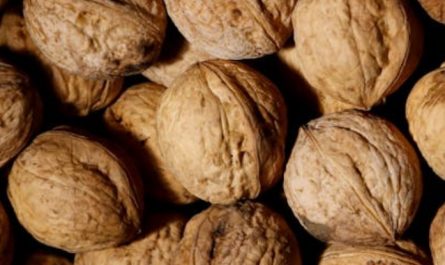 42 significados simbólicos de sonhar com nozes