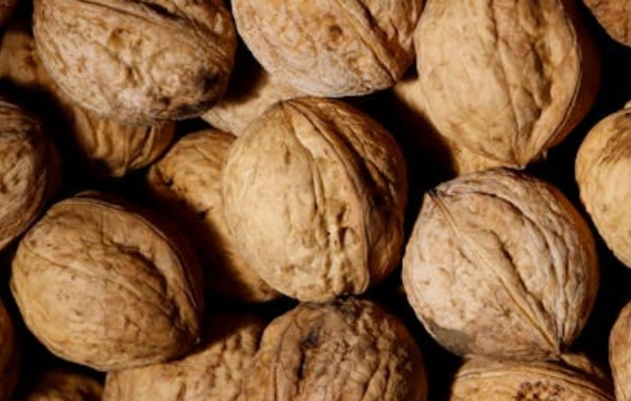 42 significados simbólicos de sonhar com nozes