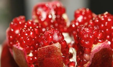 32 Significados Simbólicos de Sonhar com Romãs