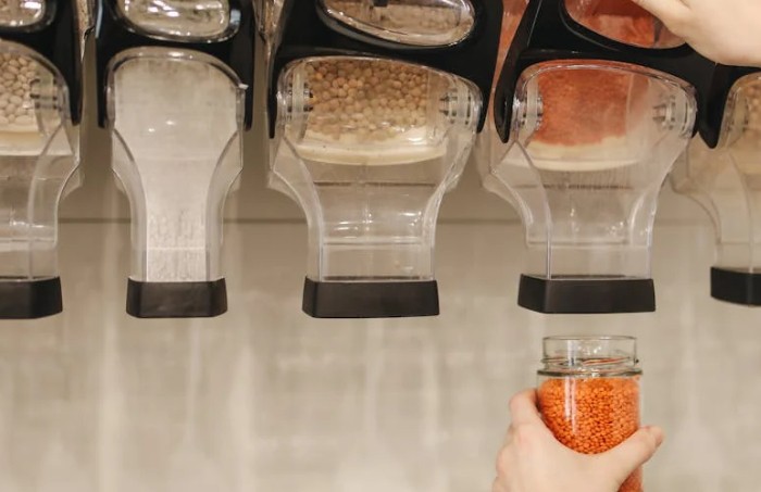 49 Significados Simbólicos de Sonhar com Feijões