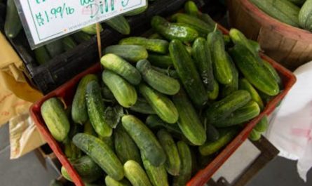 29 Significados Simbólicos de Sonhar com Pepinos