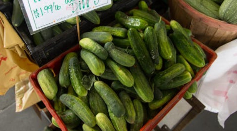 29 Significados Simbólicos de Sonhar com Pepinos