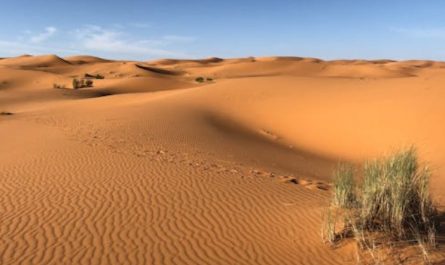 38 Significados Simbólicos de Sonhar com o Deserto