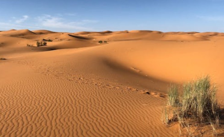 38 Significados Simbólicos de Sonhar com o Deserto