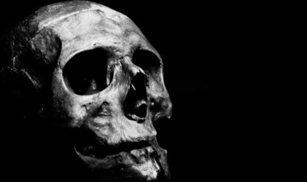 37 Significados de Sonhar com Ossos