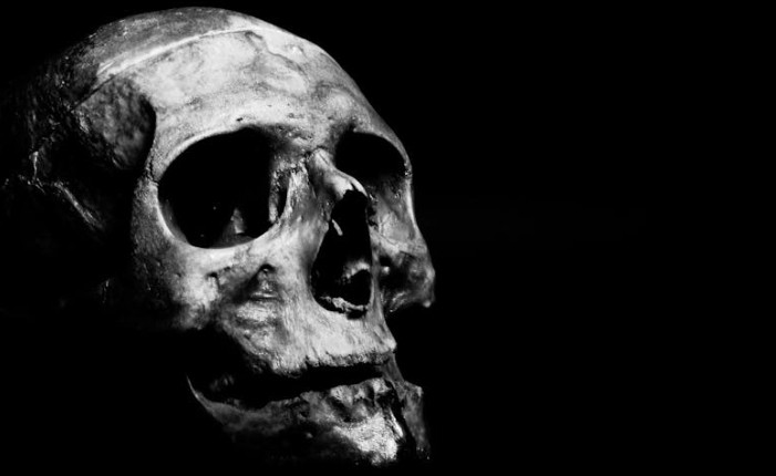 37 Significados de Sonhar com Ossos