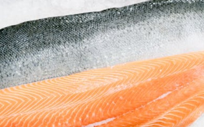 34 Significados de Sonhar com Salmão