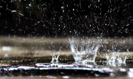 10 Significados de Sonhar com Chuva