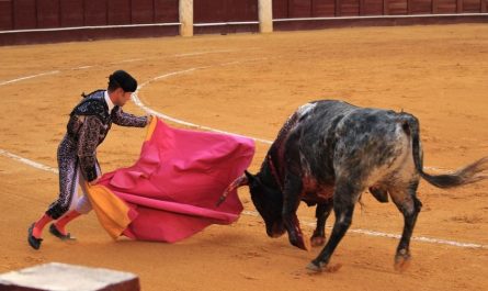 21 Significados de Sonhar com Touros