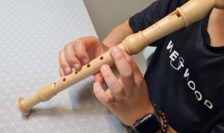 7 Significados de Sonhar com uma Flauta de Bisel