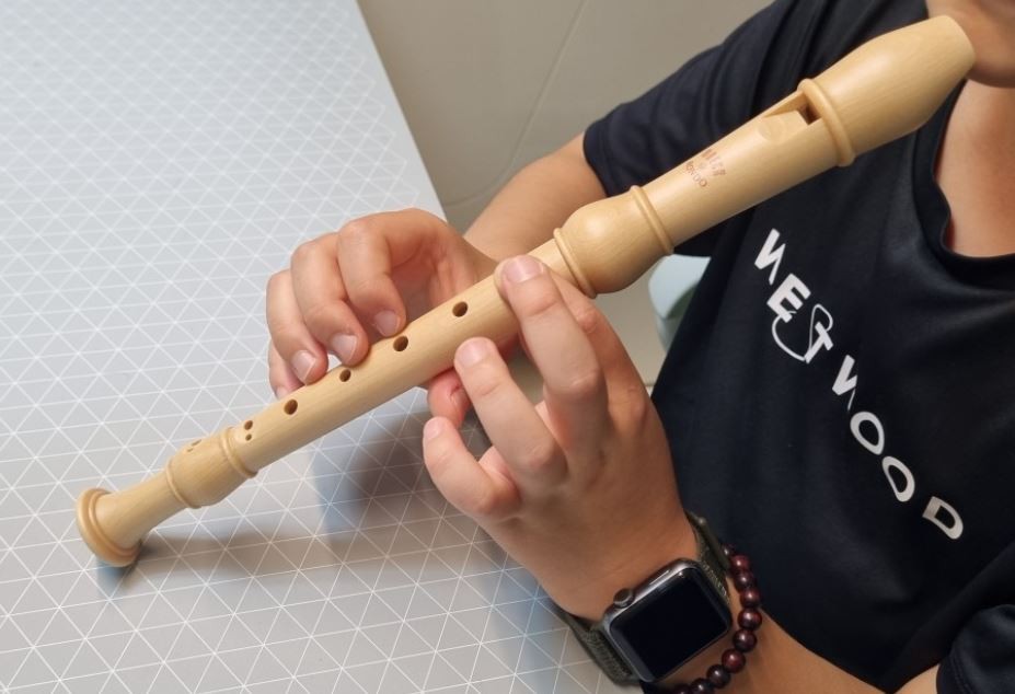 7 Significados de Sonhar com uma Flauta de Bisel