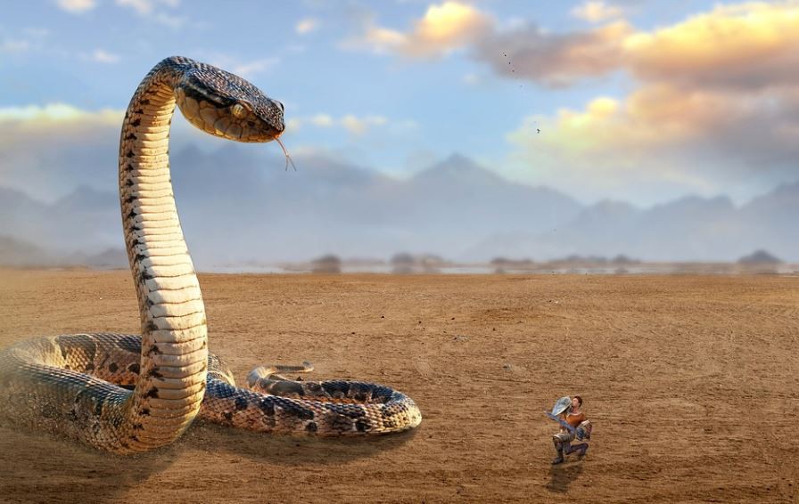 12 Significados de Sonhar com Ataques de Cobra