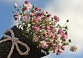 14 Significados de Sonhar Receber um Ramo de Flores