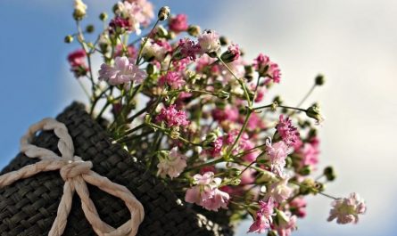 14 Significados de Sonhar Receber um Ramo de Flores