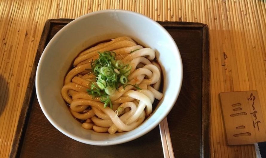 12 Significados de Sonhar com Noodles Udon