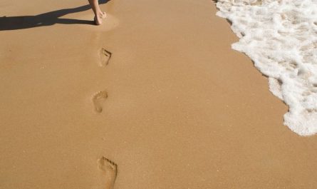 8 Significados de Sonhar com Pegadas
