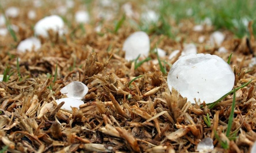 8 Significados de Sonhar com Granizo