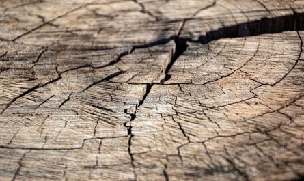8 Significados de Sonhar com Rachaduras