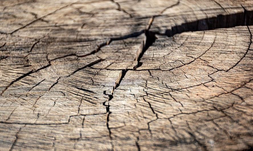 8 Significados de Sonhar com Rachaduras