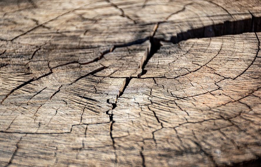 8 Significados de Sonhar com Rachaduras