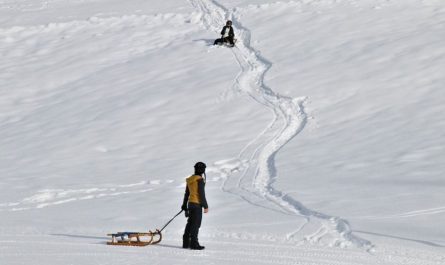 11 Significados de Sonhar com um Trenó
