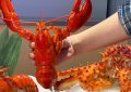 29 Significados de Sonhar Comer Camarão