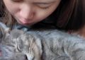 5 Significados de Sonhar em Ter um Gato